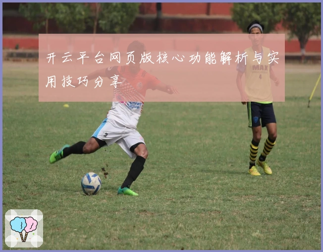 开云平台网页版核心功能解析与实用技巧分享